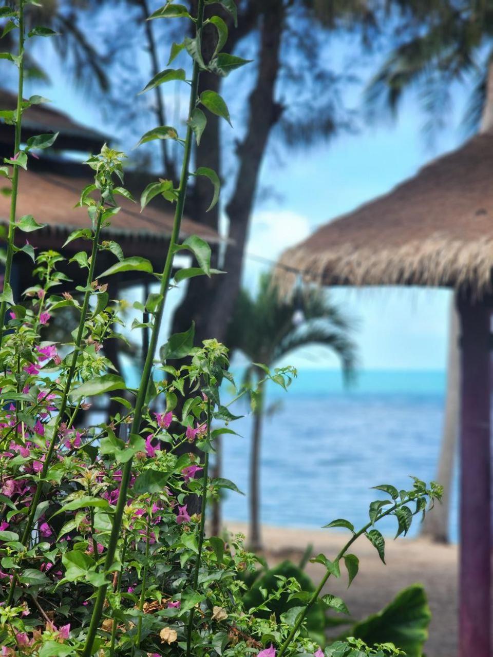 A Little Bungalows By Beach Amphoe Koksamui Esterno foto